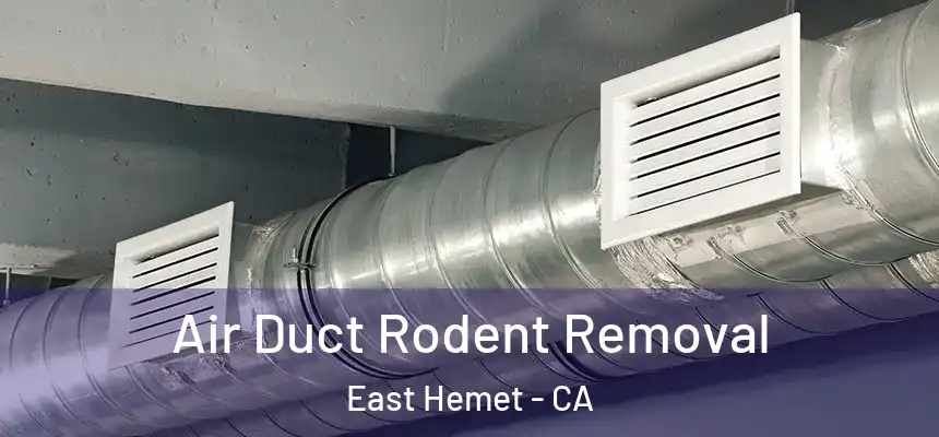  Air Duct Rodent Removal East Hemet - CA