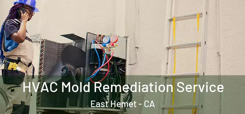  HVAC Mold Remediation Service East Hemet - CA
