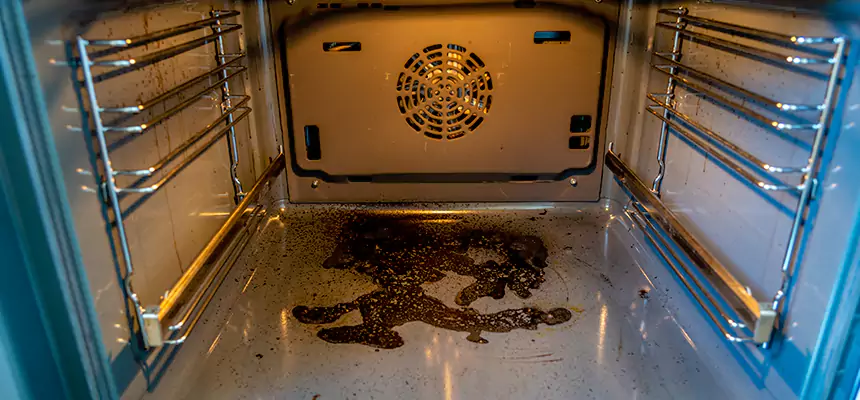 Our Dryer Vent Mold Cleaning Services in East Hemet, CA