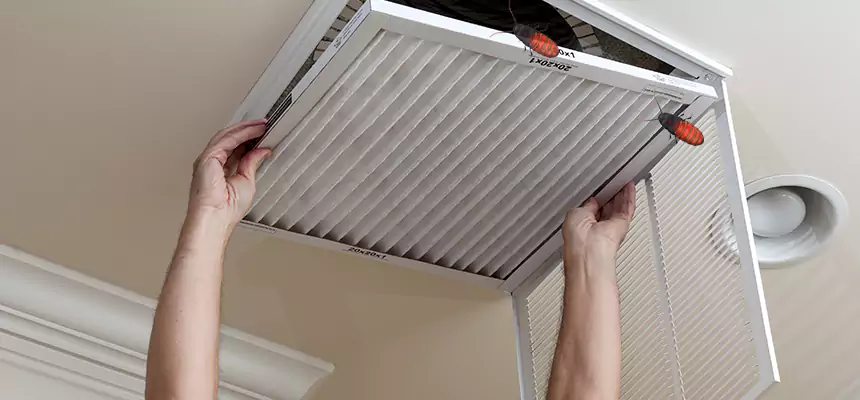 Our Insect Removal from Air Ducts Services in East Hemet, CA