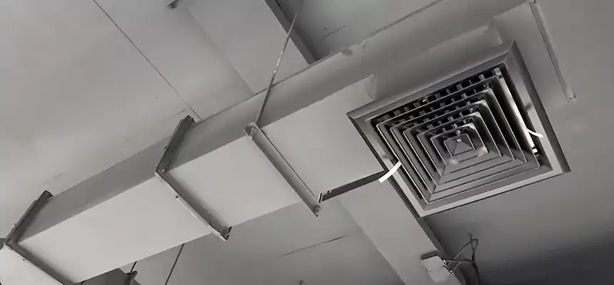 Our Rodent Droppings In Vents Services in East Hemet, CA