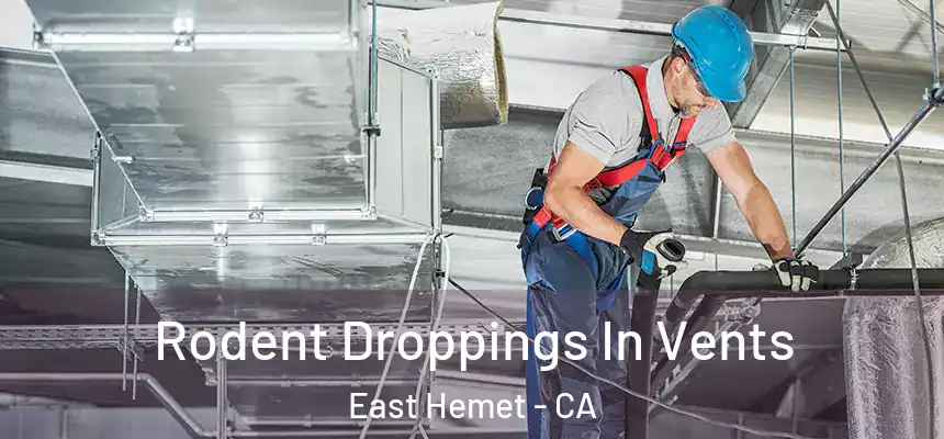  Rodent Droppings In Vents East Hemet - CA