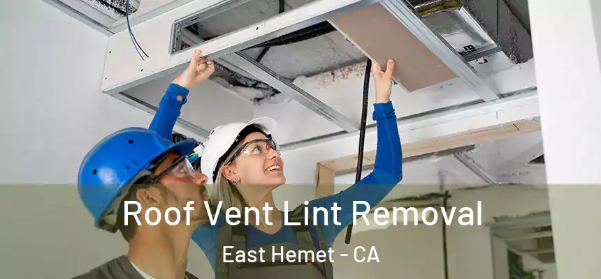  Roof Vent Lint Removal East Hemet - CA