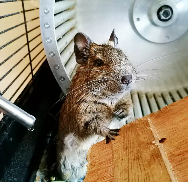 Why Homeowners & Businesses Trust Us East Hemet, CA