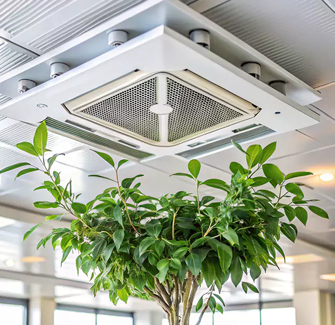 Why Homeowners & Businesses Trust Us in East Hemet, CA?